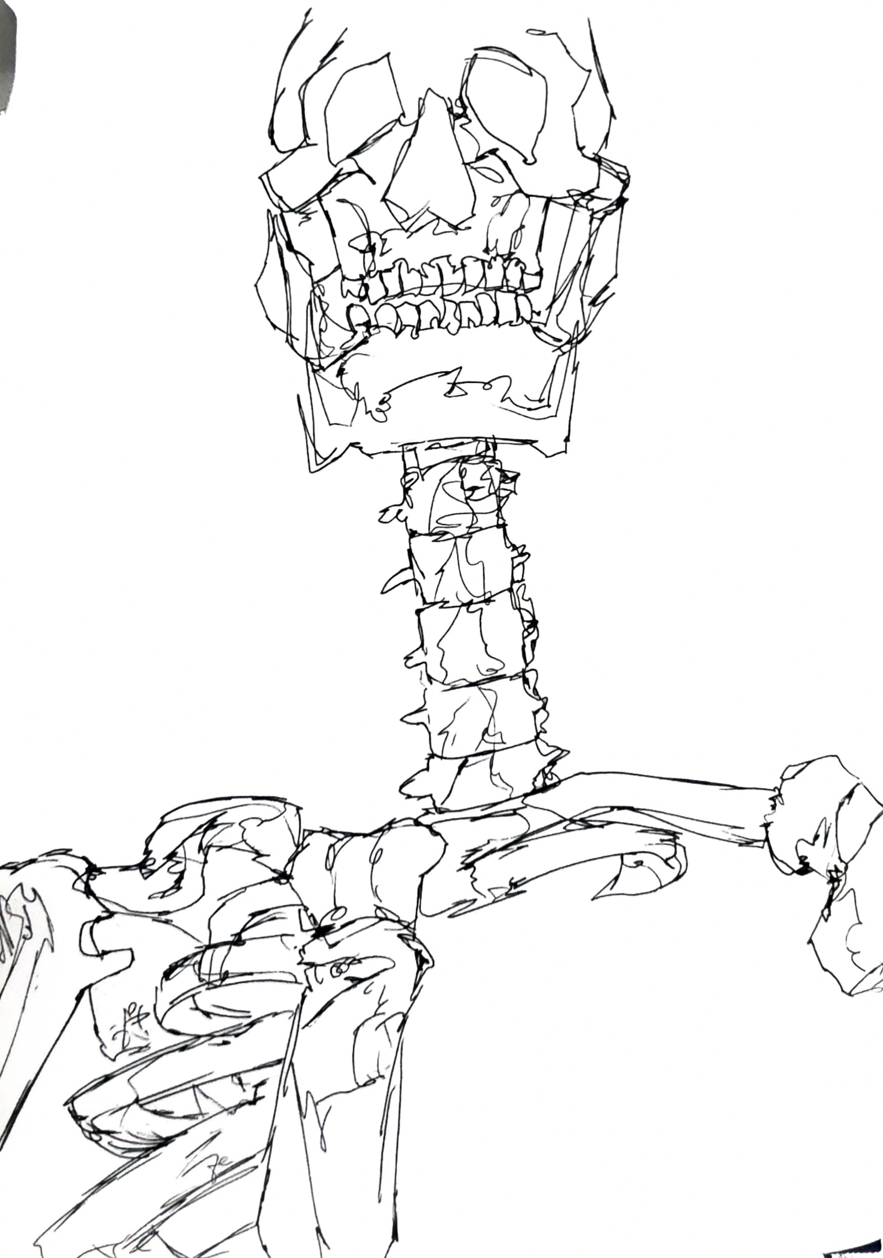 Sketch — Zeeshan Ahmad